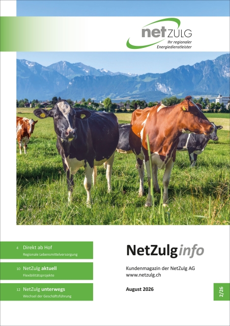 Titelbild NetZulg Info 2026-2